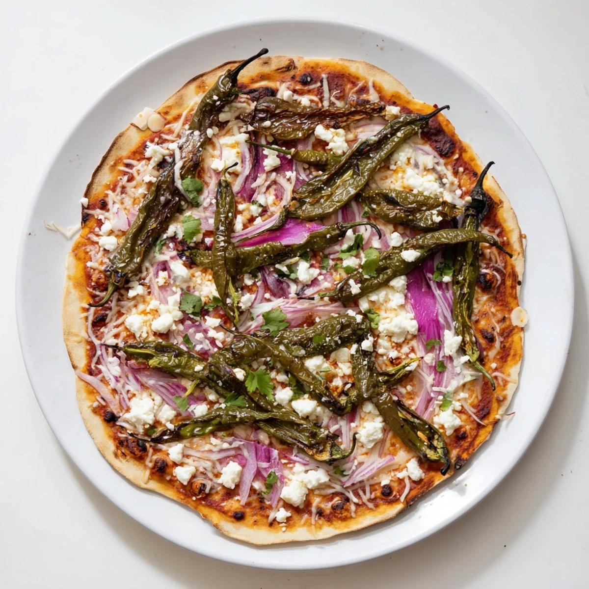 Homemade Poblano pizza bubbling with cheese, roasted peppers and vibrant green cilantro leaves